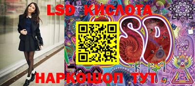 эйфоретик Новозыбков