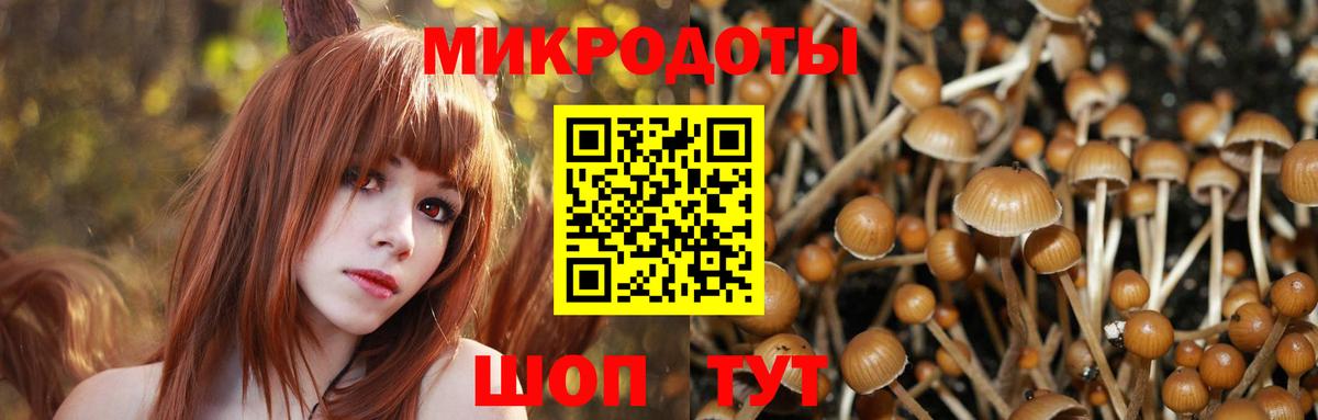 Псилоцибиновые грибы ЛСД Татарск